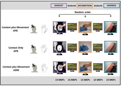 An Emotion-Enriched Context Influences the Effect of Action Observation on Cortical Excitability